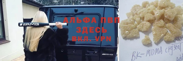 СК Алексин