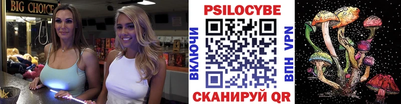 блэк спрут ССЫЛКА  Новосибирск  Псилоцибиновые грибы мицелий 